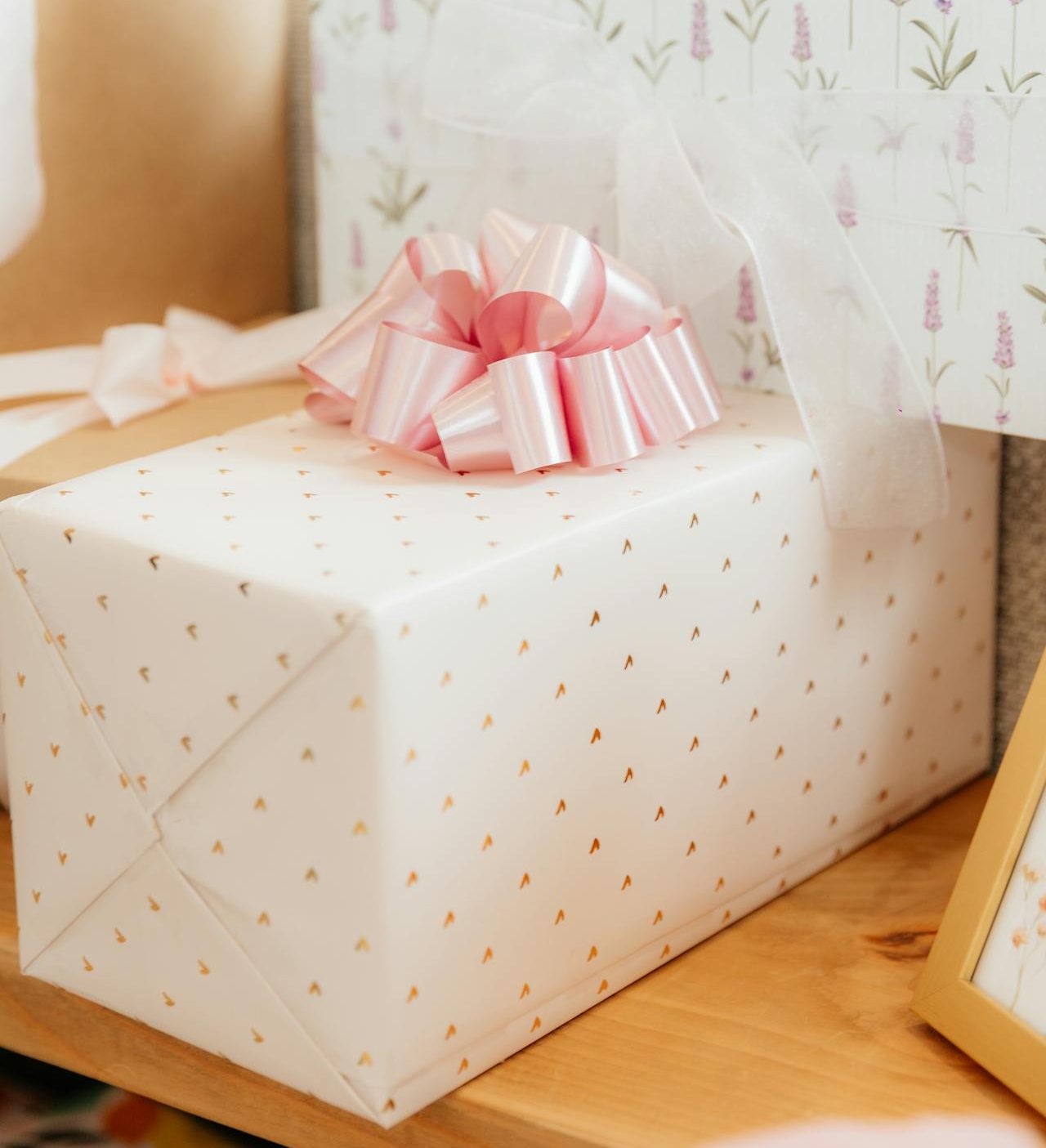 pexels-adriana-coulson-1070894176-23784969